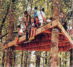 adpa10.jpg